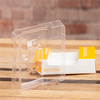 Polyethylene Terephthalate Film 